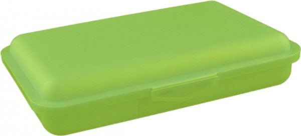 Buchsteiner Klickbox flach mit Inneneinteilung (Limone)
